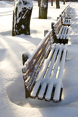 Image showing Benches covered with snow.