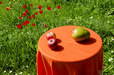 Image showing Apples and peer. Ecological food.