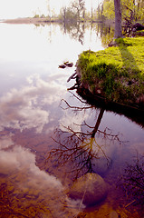 Image showing Reflections on the lake in spring.