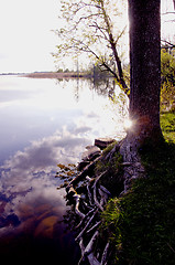 Image showing Sun reflections on the lake. 