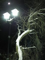 Image showing Street lamp and the moon