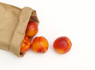 Image showing nectarines