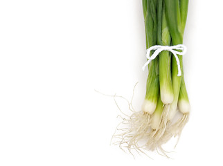 Image showing green onions