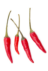 Image showing Fresh red chilli