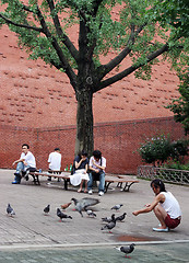 Image showing People enjoying the park