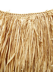 Image showing Hawaiian luau - grass hula skirt