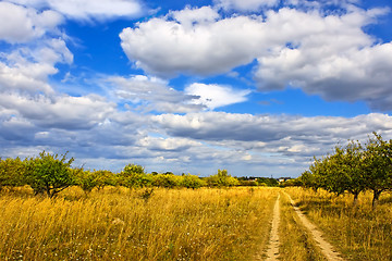 Image showing Rural landscape