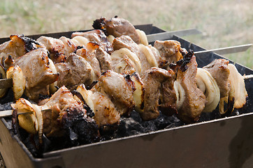 Image showing Meat on grill