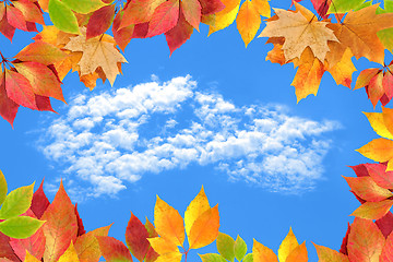 Image showing autumn leaves against the sky