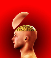 Image showing Profile Open Minded Head 