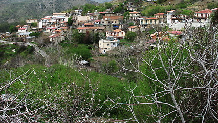 Image showing Platanistasa village. Cyprus