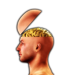 Image showing Profile Open Minded Head 