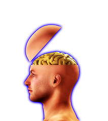 Image showing Profile Open Minded Head 