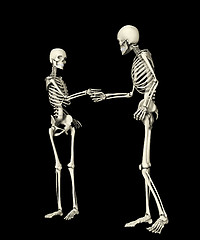 Image showing Skeletons Meeting