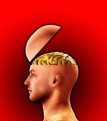 Image showing Profile Open Minded Head 