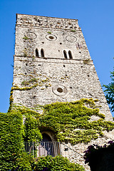 Image showing Castle covered by ivy