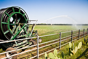 Image showing Irrigation