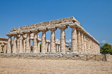 Image showing Paestum temple - Italy