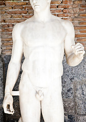 Image showing Masculine body