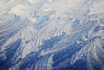 Image showing hoarfrost