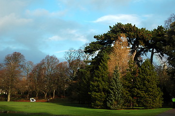 Image showing cardiff bute park