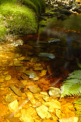 Image showing brook in czech mountain