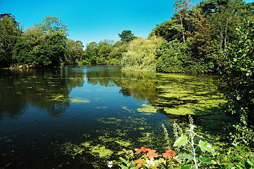 Image showing roath park lake