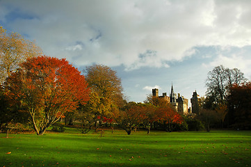 Image showing bute park