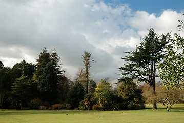 Image showing bute park