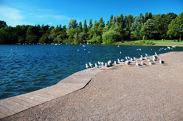 Image showing sully lake