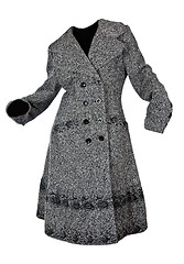 Image showing Gray coat female