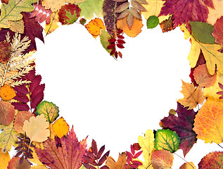 Image showing form the heart of autumn leaves