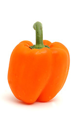Image showing orange pepper