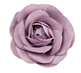 Image showing purple flower from tissue