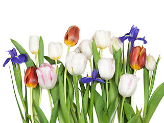 Image showing flowers tulips, iris