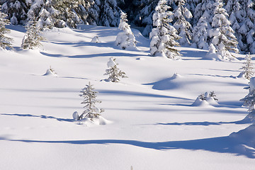 Image showing fresh snow in the mountains