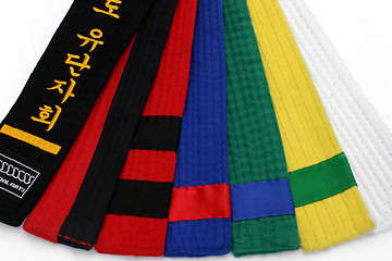 Image showing Martial Arts Belts 1