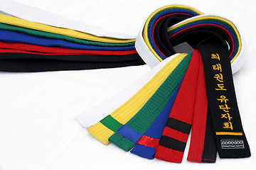 Image showing Martial Arts Belts 2