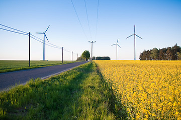 Image showing windmill  farm in the rape field