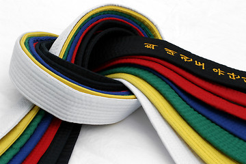 Image showing Martial Arts Belts 3