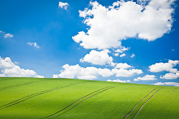 Image showing green field