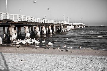 Image showing birds at pier