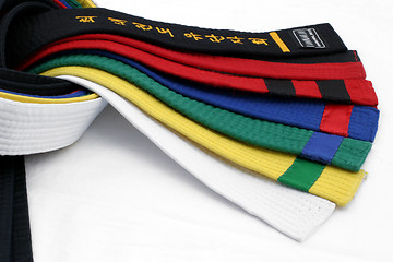 Image showing Martial Arts Belts 4