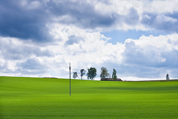 Image showing green field