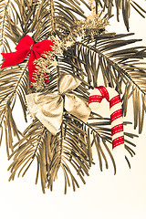 Image showing Christmas branch 