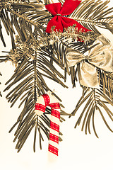 Image showing Christmas branch 