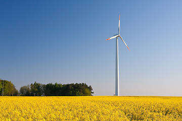 Image showing windmill  farm in the rape field