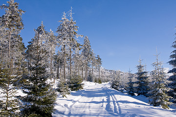 Image showing fresh snow in the mountains