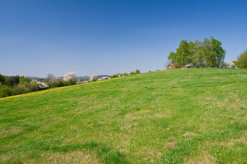 Image showing grassland in the springtime