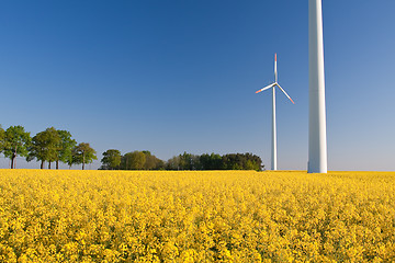 Image showing windmill  farm in the rape field